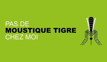 Actu_moustique_tigre