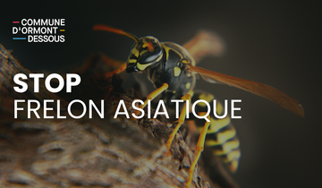 Ajouter un titre (4) Ajouter un titre (4)