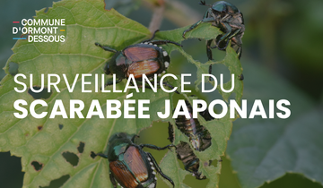 Ajouter un titre (5)