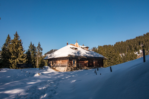 Refuge_Carroz_2025 (8)
