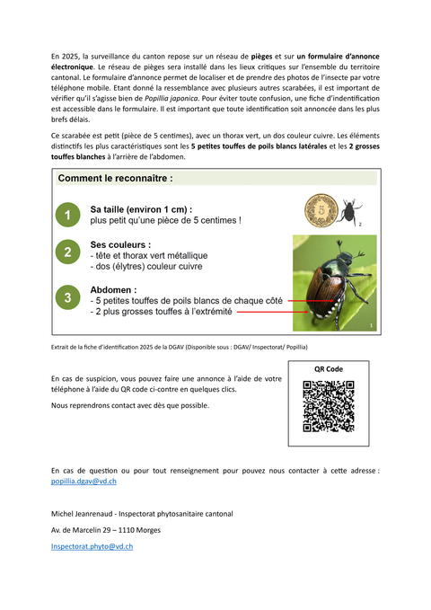 INFO_Scarabée japonais_2025_FIN-2