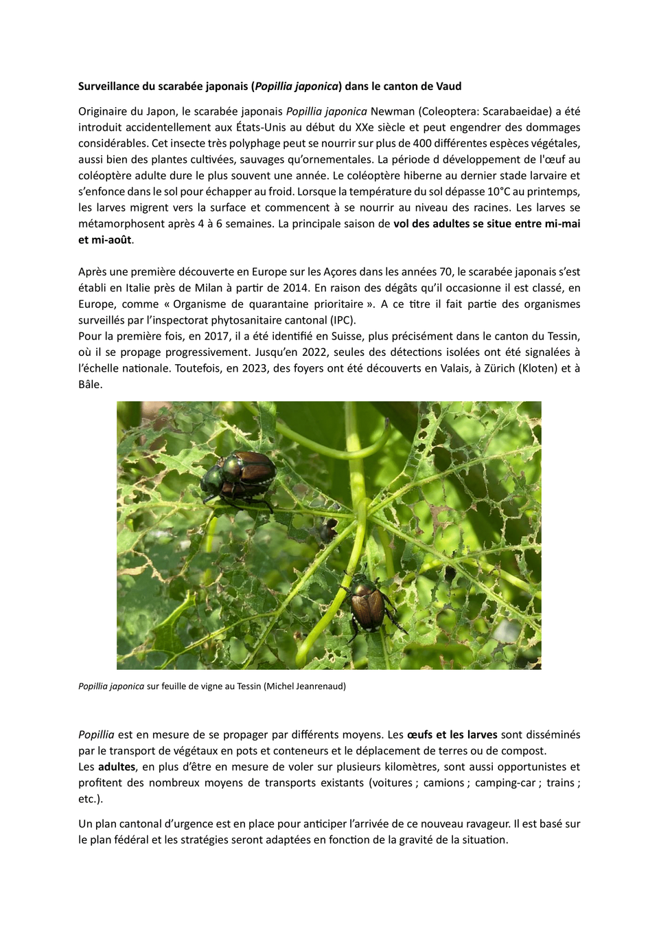 INFO_Scarabée japonais_2025_FIN-1