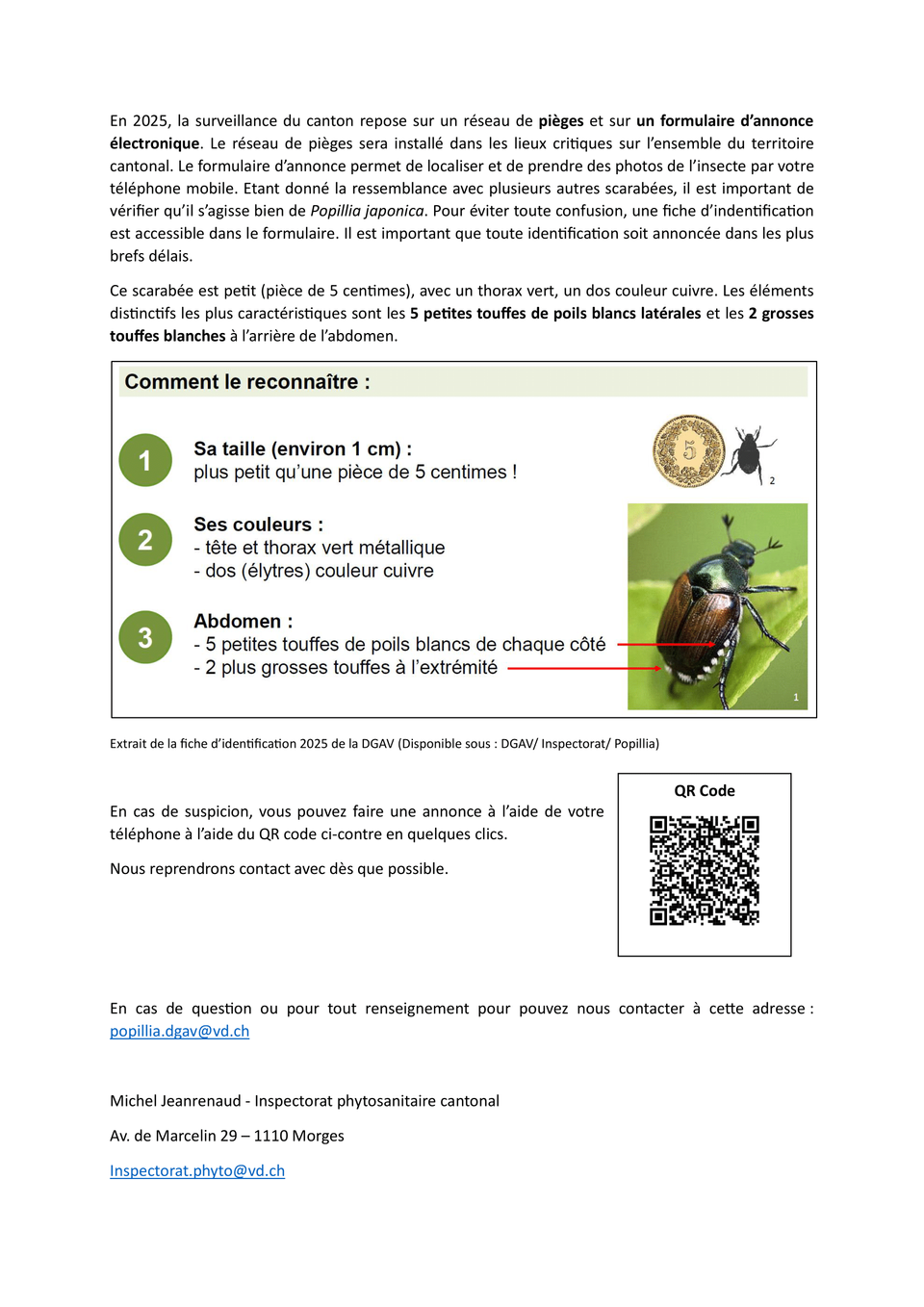 INFO_Scarabée japonais_2025_FIN-2